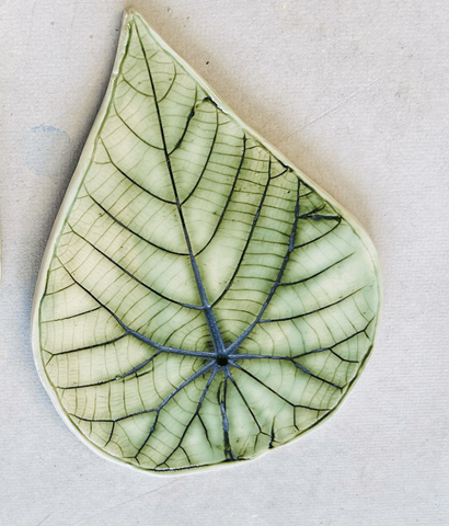 Kirsty Leishman - Macaranga Leaf