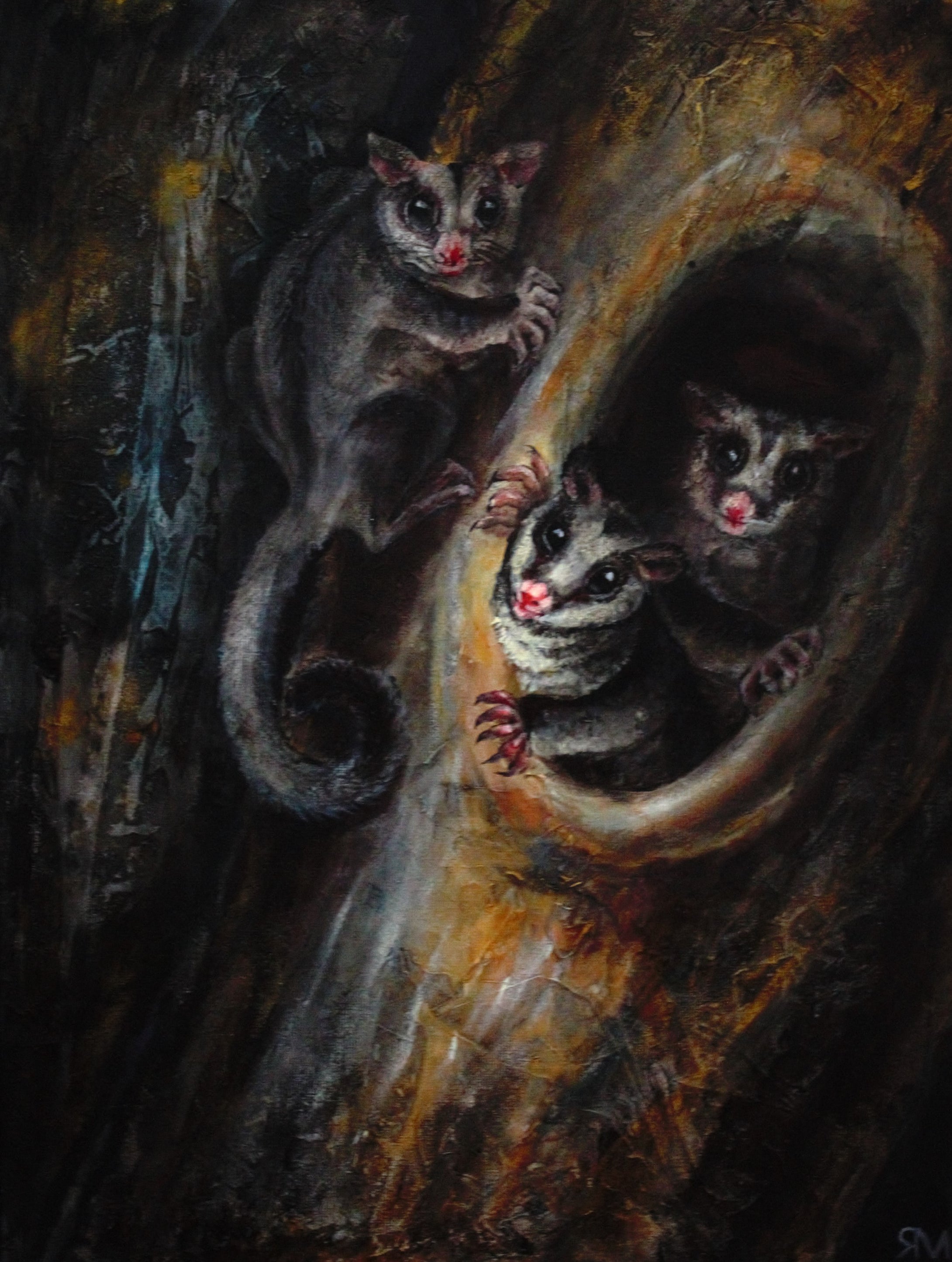 Margarita Iakovleva - Sugar Gliders At Night