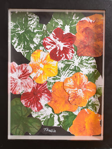 Thalia -  Nasturtium Garden 1