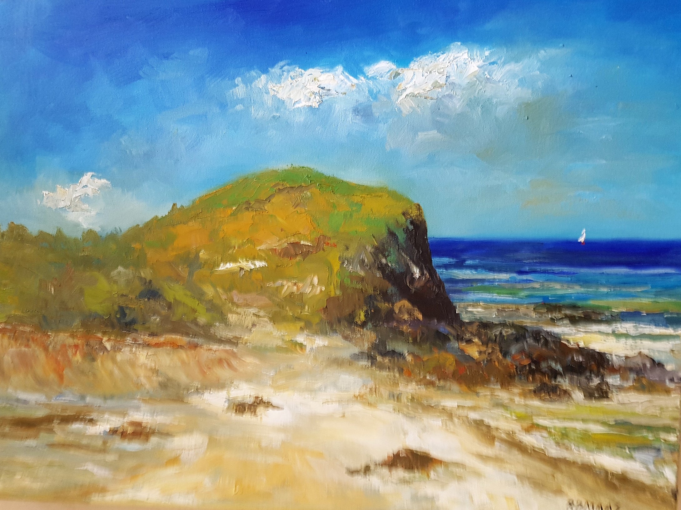 Bob Maas - 'The Headland'