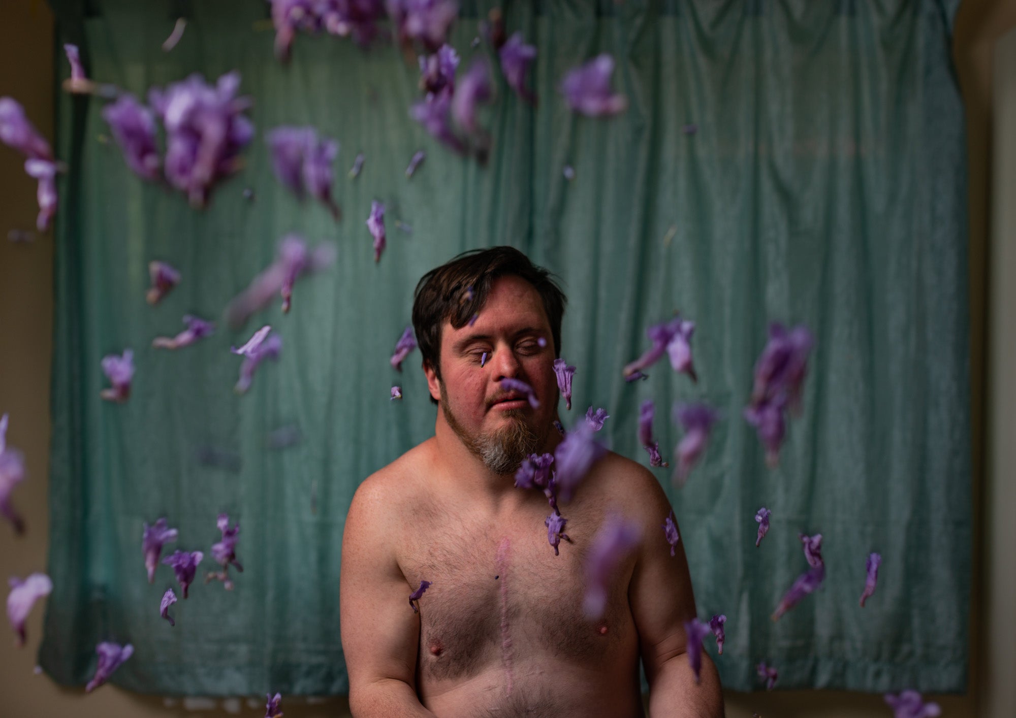 Louis Lim, Matthew Lys - Raining Jacaranda