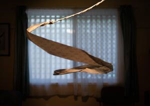 Louis Lim, Matthew Lys - Toilet Paper Spiral