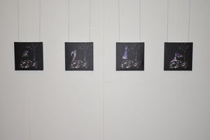 Anna Jacobson - How to Observe