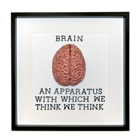 Felicity Clarke - Brain: An Apparatus