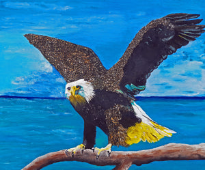 Matthew Short - 'Free to Fly'