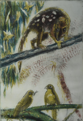 Spotted Tailed Quoll with Two Golden Bowen Birds