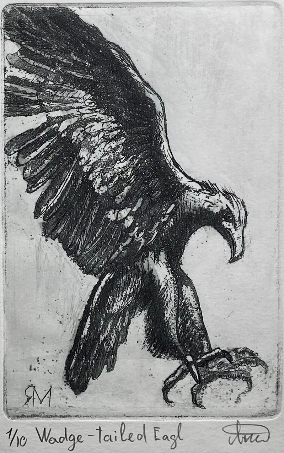 Margarita Iakovleva - Wedge-tailed Eagle (print 1/10)
