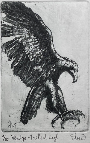 Wedge-tailed Eagle (print 1/10)
