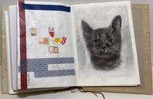 Load image into Gallery viewer, Theodore Teo - Theo&#39;s Journal
