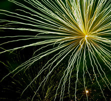 Load image into Gallery viewer, Wendy Hewton - Fireworks
