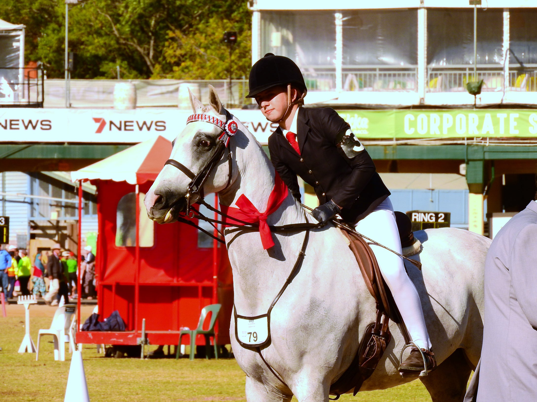 Sylvain Minier - Show Jumping
